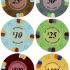 25PC 13.5G LUCKY HORSESHOE CLAY POKER CHIPS (12 COLORS) - Image 2